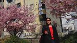 Intip Liburan Claresta Taufan di Jepang, Main Salju-Berburu Sakura