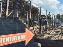 9.500 Ayam Mati Terpanggang gegara Kandang Terbakar, Kerugian Rp 600 Juta