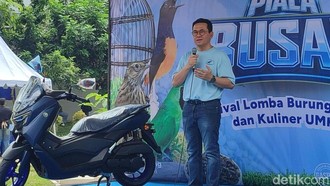 Kicau, Kicau, Kicau Mania! Putaran Duit dari Hobi Burung Segede Ini