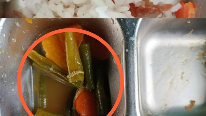 Menu MBG berulat di Kayong Utara