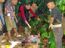 Terungkap! Ini Motif Pembunuhan Petani di OKU yang Tewas di Kebun Kopi