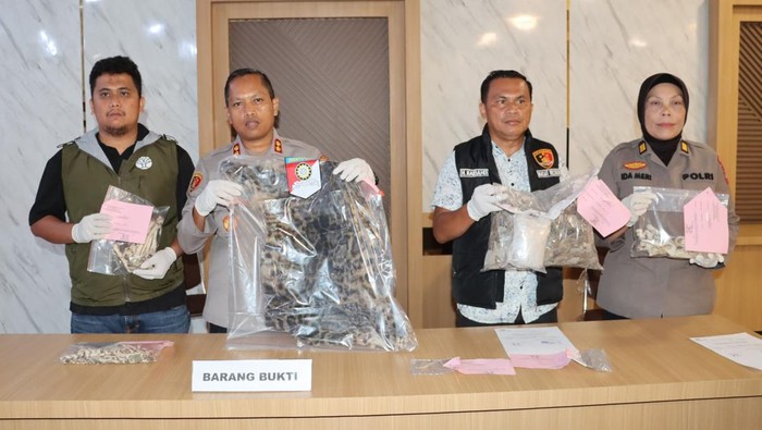 Polres Padangsidimpuan saat merilis kasus perdagangan kulit macan dahan dan sisik trenggiling.
