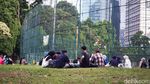 Santai Nonton Softball di GBK, Lesehan di Rumput-Duduk Berjajar di Tribun
