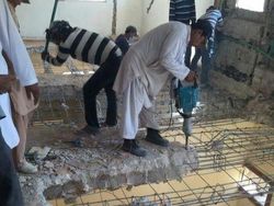 Seolah Kebal! Aksi Karyawan Abaikan Keselamatan Bikin Deg-degan