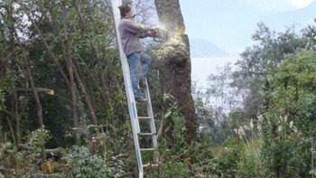 Terbanyangkan bagaimana akhirnya... Foto: Demilked