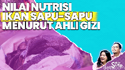Video: Ahli Gizi Tanggapi Soal Ikan Sapu-sapu Tidak Boleh Dikonsumsi