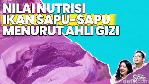 Video: Ahli Gizi Tanggapi Soal Ikan Sapu-sapu Tidak Boleh Dikonsumsi