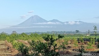 Gunung Semeru Erupsi 4 Kali Pagi Ini, Tinggi Letusan Capai 1.000 Meter