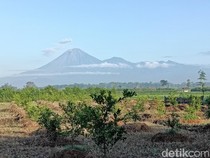 Gunung Semeru Erupsi 4 Kali Pagi Ini, Tinggi Letusan Capai 1.000 Meter