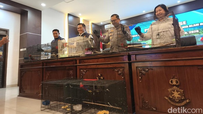 Konferensi pers pengungkapan kasus perdagangan satwa dilindungi ilegal di Mako Dit Reskrimsus Polda Jateng, Senin (4/5/2026).