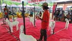 Ratusan Kambing Senduro Ramaikan Kontes di Lumajang