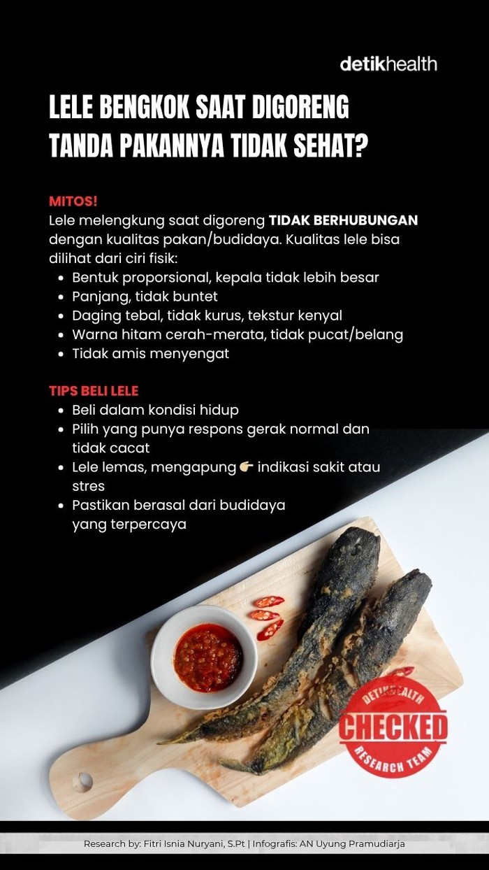Lele bengkok saat digoreng tanda pakannya jorok? Ini Faktanya