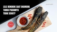 Infografis: Lele Bengkok Saat Digoreng, Tanda Pakannya Jorok?