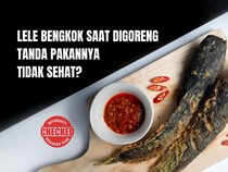 Infografis: Lele Bengkok Saat Digoreng, Tanda Pakannya Jorok?