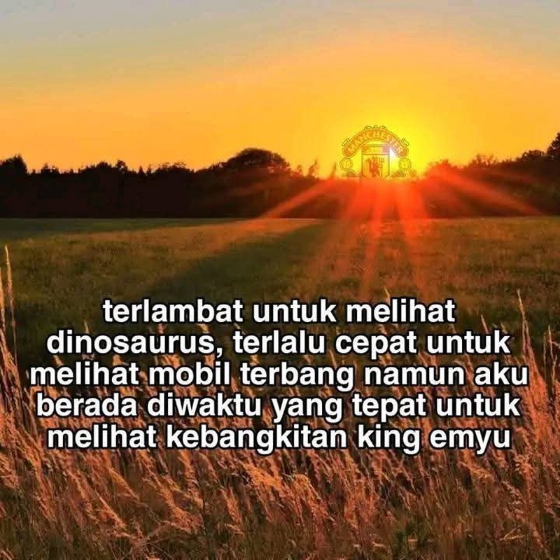 Meme Kemenangan MU