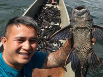 Video Populasi Ikan Sapu-sapu Bikin Nelayan di Danau Tondano Waswas