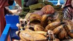 Mulai Langka! Ini 8 Potret Penjual Makanan Jadul yang Dulu Populer