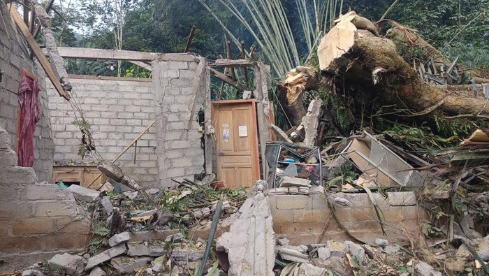 Pohon Pule yang menimpa rumah warga di Dusun Banjaran, Desa Banjarsari, Kecamatan Grabag, Kabupaten Magelang, Senin (4/5/2026).