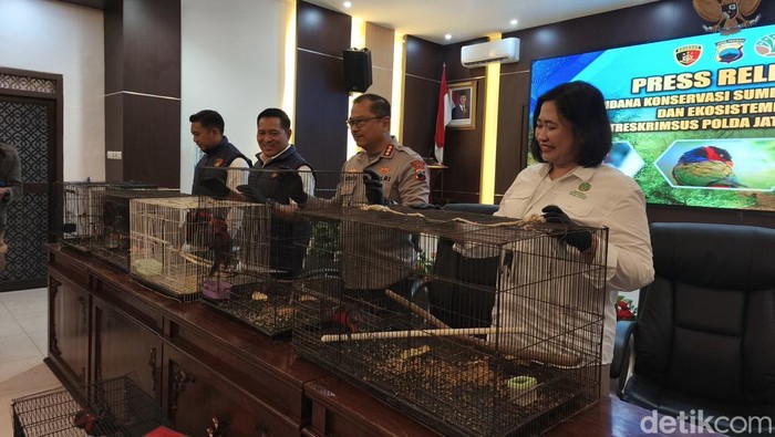 Polisi menggagalkan penyelundupan satwa ilegal jenis burung kasturi kepala hitam di Pelabuhan Juwana Pati, Senin (4/5/2026).