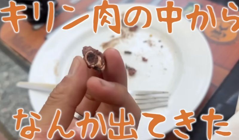 YouTuber Ini Keracunan Timbal usai Makan Daging Jerapah