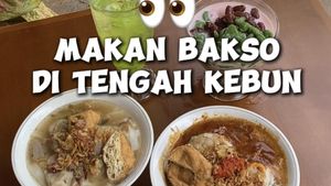 Video: Adem! Makan Bakso Cirawang di Tengah Kebun Tersembunyi di Jaksel