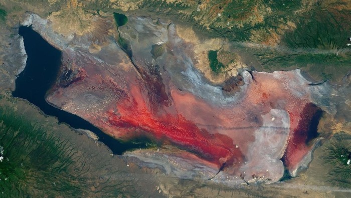 Danau Natron, danau ekstrem di Tanzania.