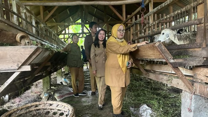 DTPHP Musi Rawas lakukan pengecekan kesehatan hewan kurban