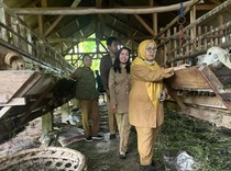 Permintaan Hewan Kurban Naik Jelang Idul Adha, DTPHP Mura Gencar Cek Kesehatan