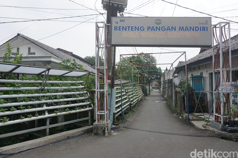 Ketika Argowisata BRILian Jadi Solusi Genjot Ekonomi Desa
