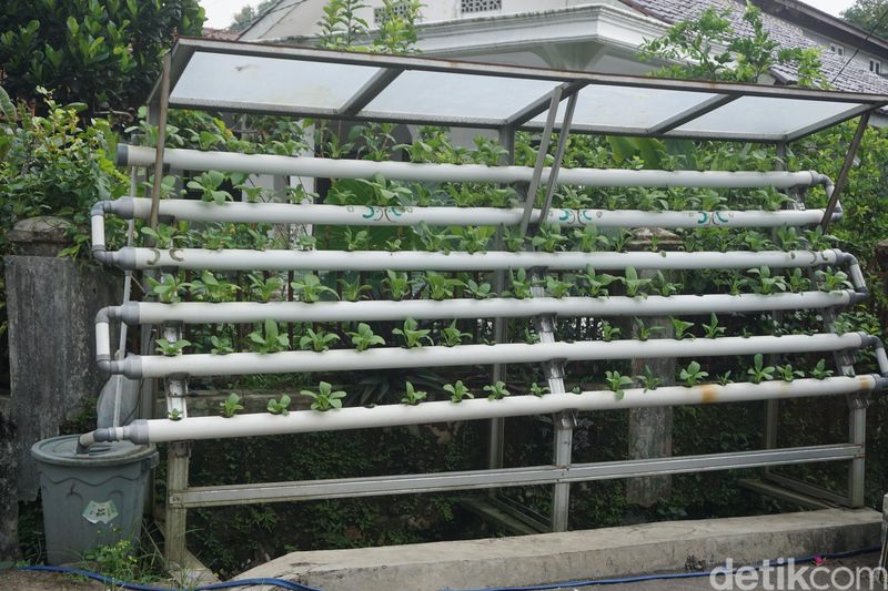 Ketika Argowisata BRILian Jadi Solusi Genjot Ekonomi Desa