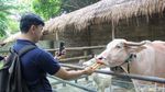 Liburan Seru di Faunaland, Interaksi Satwa Jadi Daya Tarik