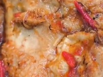 Viral Menu MBG di SMK Pekalongan Berbelatung, SPPG Minta Maaf