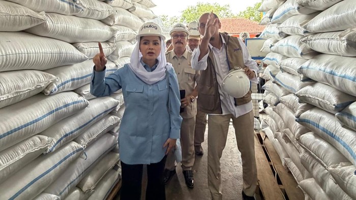 Pimpinan Fraksi Partai Gerindra DPR RI, Novita Wijayanti