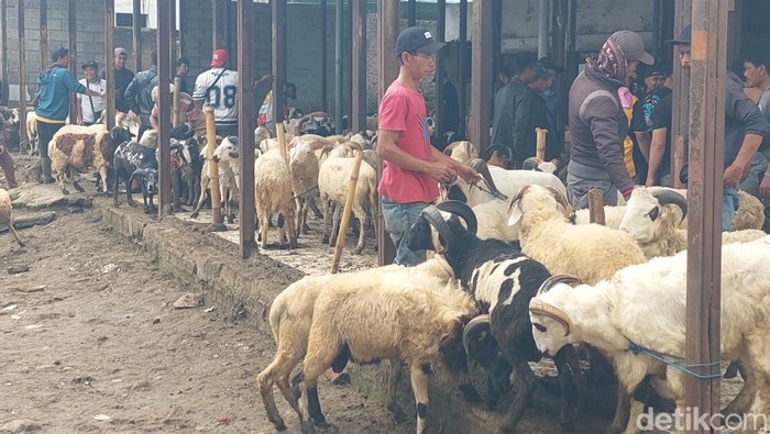 Ramainya aktivitas jual beli domba di Pasar Ternak Padalarang, KBB.