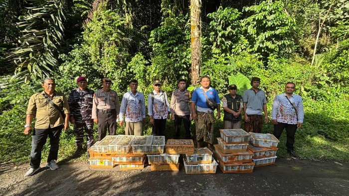 Ribuan burung yang hendak diselundupkan ke Bali dilepasliarkan di hutan Desa Tenganan Pegringsingan, Kecamatan Manggis, Karangasem, Bali