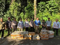 Kicau Mania! Usaha Menyelundupkan 1.756 Burung ke Bali Berhasil Digagalkan