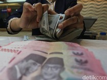 Rupiah Lagi Undervalued, Bos BI Ungkap Biang Keroknya