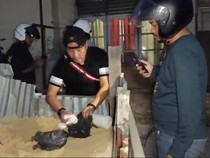 Kampung Narkoba di Pekanbaru Digerebek, Polisi Temukan Sabu dalam Pasir