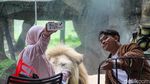 Sensasi Hutan Papua di Faunaland Ancol Jadi Magnet Baru Wisata Edukasi