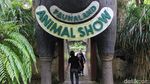 Sensasi Hutan Papua di Faunaland Ancol Jadi Magnet Baru Wisata Edukasi