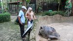 Sensasi Hutan Papua di Faunaland Ancol Jadi Magnet Baru Wisata Edukasi