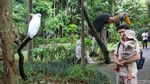 Sensasi Hutan Papua di Faunaland Ancol Jadi Magnet Baru Wisata Edukasi