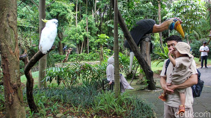 Suasana berbeda terasa saat memasuki Faunaland Ancol. Kawasan wisata edukasi satwa ini menghadirkan konsep “Forest Papua” yang membawa pengunjung seolah berada di tengah hutan khas Indonesia Timur. Nuansa tersebut terlihat dari ornamen, dekorasi, hingga koleksi satwa yang didominasi fauna asal Papua.