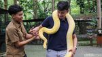 Sensasi Hutan Papua di Faunaland Ancol Jadi Magnet Baru Wisata Edukasi