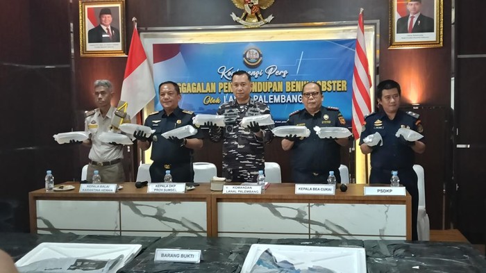 TNI AL Palembang Gagalkan Penyelundupan 125 benur dari Jambi