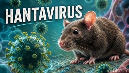 Ilustrasi Hantavirus