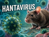 Waspada Virus Hanta, Dinkes NTB Minta Warga Hindari Kontak dengan Tikus