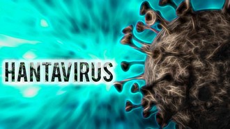 Video Kondisi Terkini WNA Kontak Erat Hantavirus Klaster MV Hondius