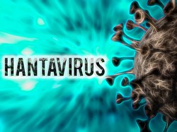 Duh! MV Hondius Dilanda Virus Mematikan, 23 Penumpang Telanjur Pulang