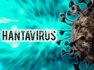 Duh! MV Hondius Dilanda Virus Mematikan, 23 Penumpang Telanjur Pulang